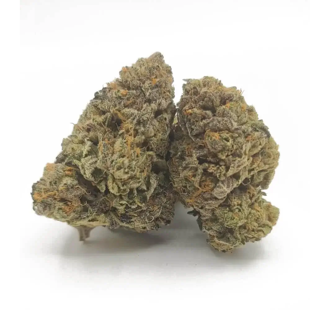 Sky High Exotics