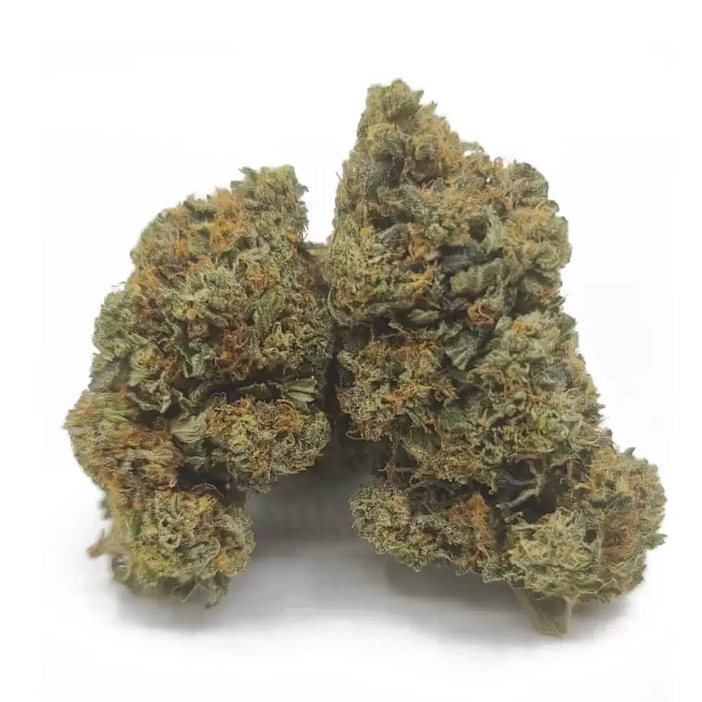 Sky High Exotics