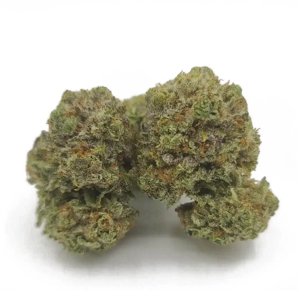 Sky High Exotics