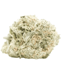 GIRL SCOUT COOKIES - HYBRID - AAA (28G)