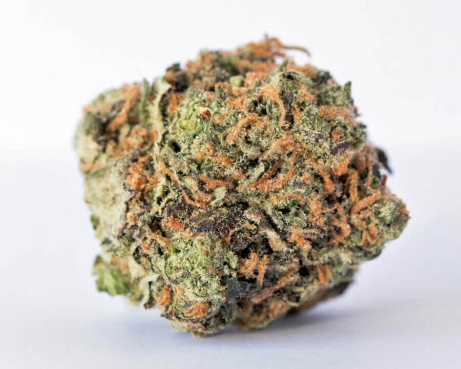 Sky High Exotics