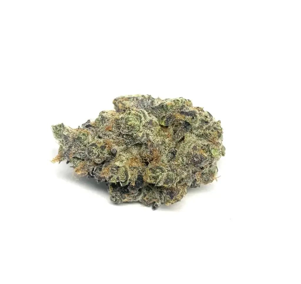Sky High Exotics