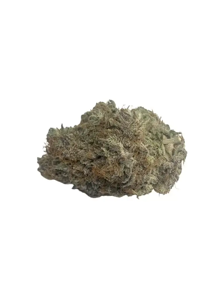 Sky High Exotics