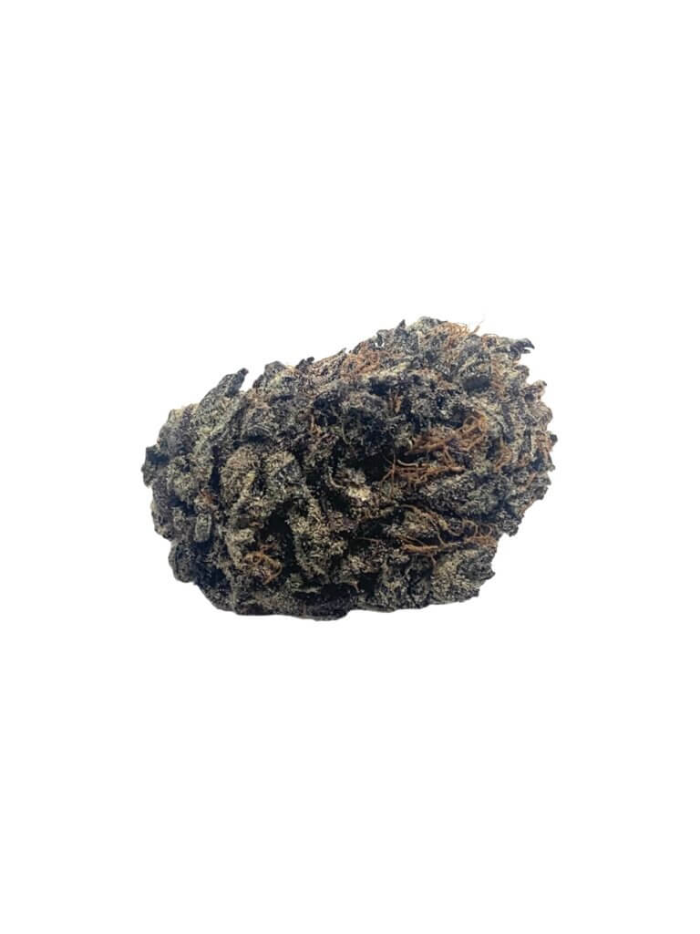 Sky High Exotics