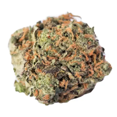 Sky High Exotics