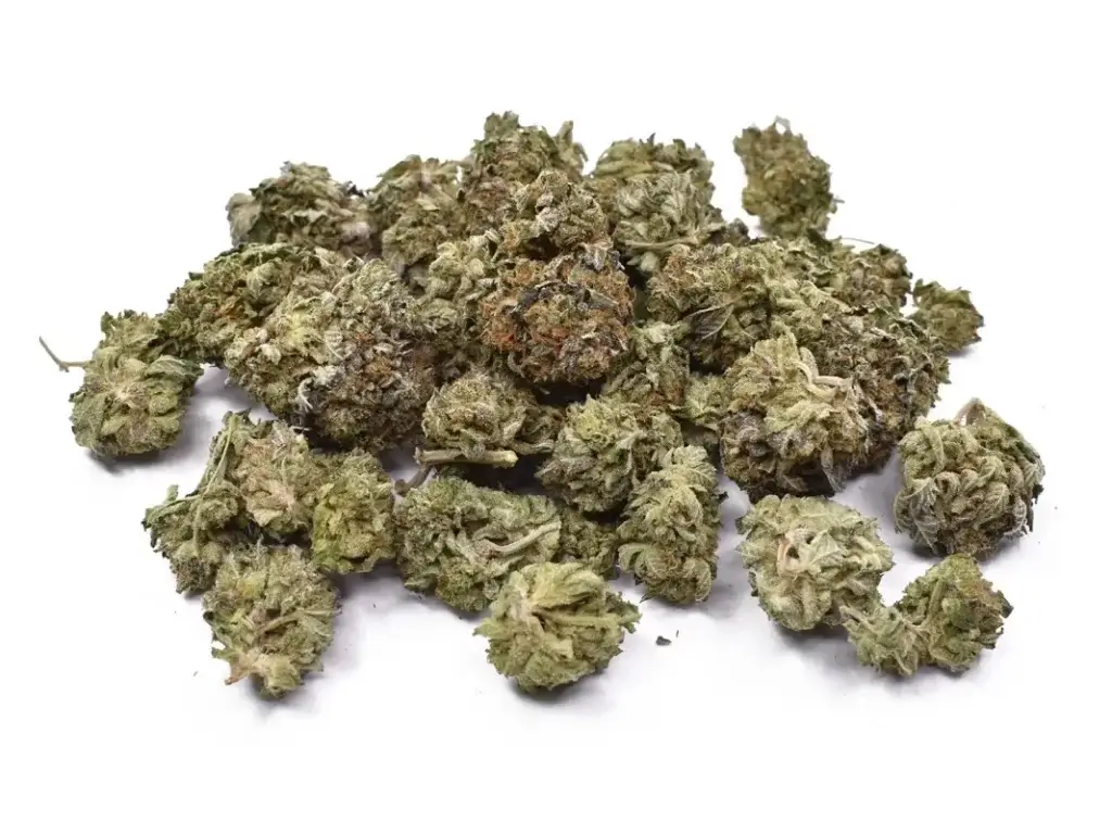Sky High Exotics
