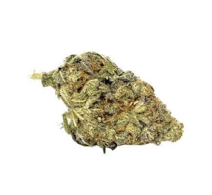 Sky High Exotics