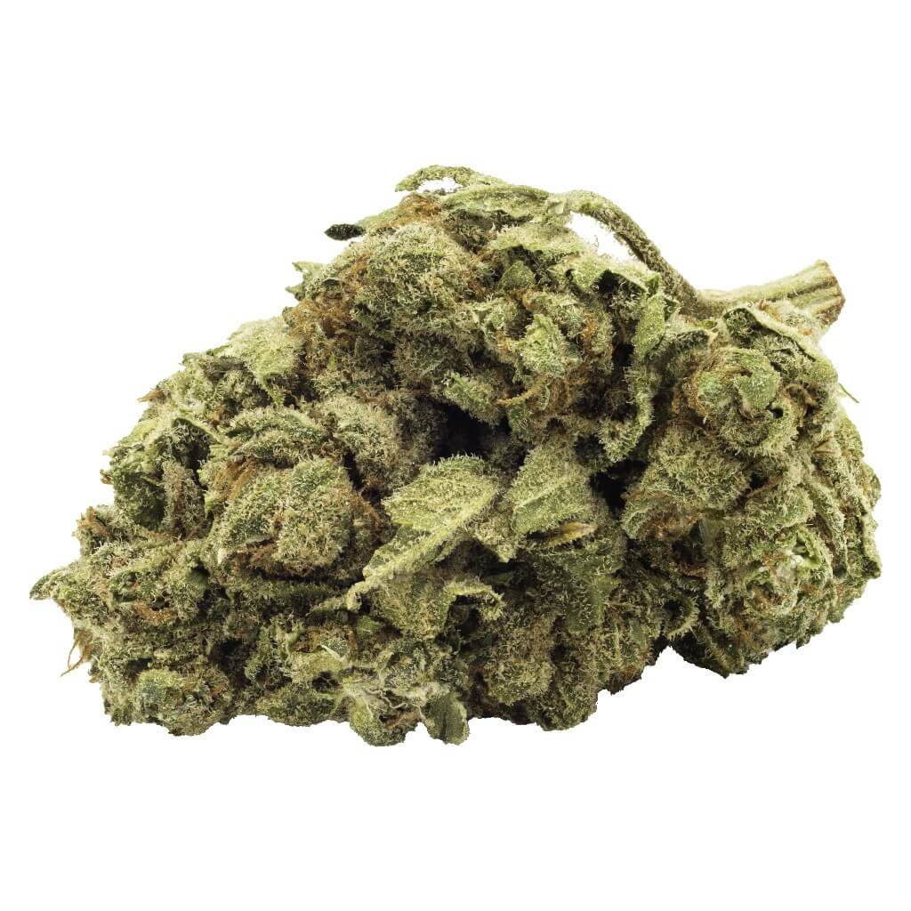Sky High Exotics