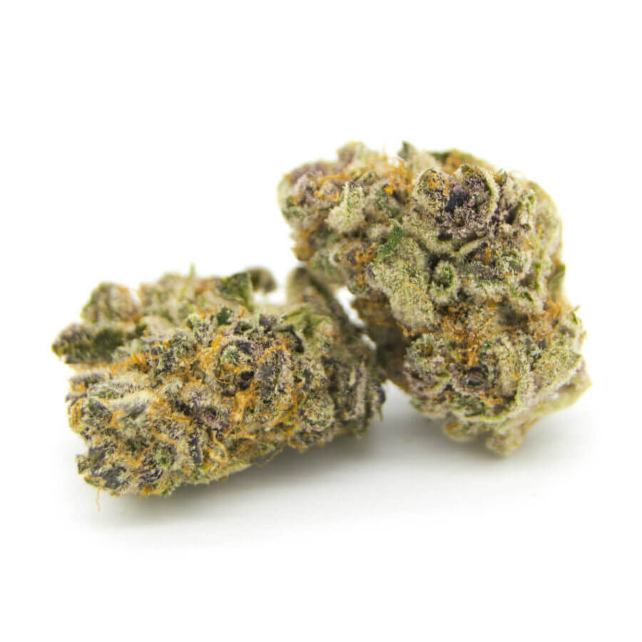 Sky High Exotics