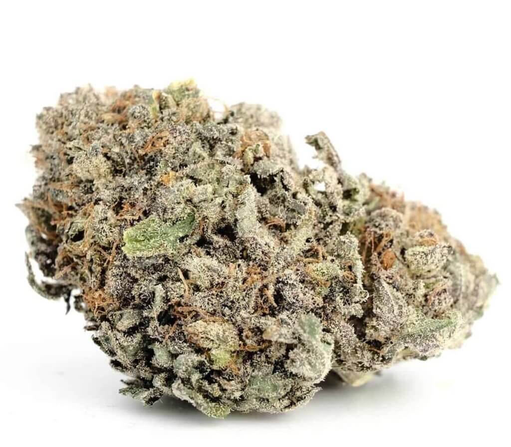 Sky High Exotics