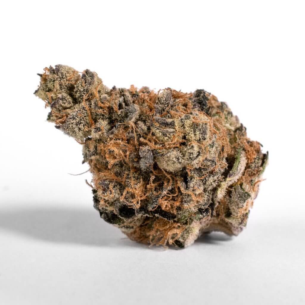 Sky High Exotics