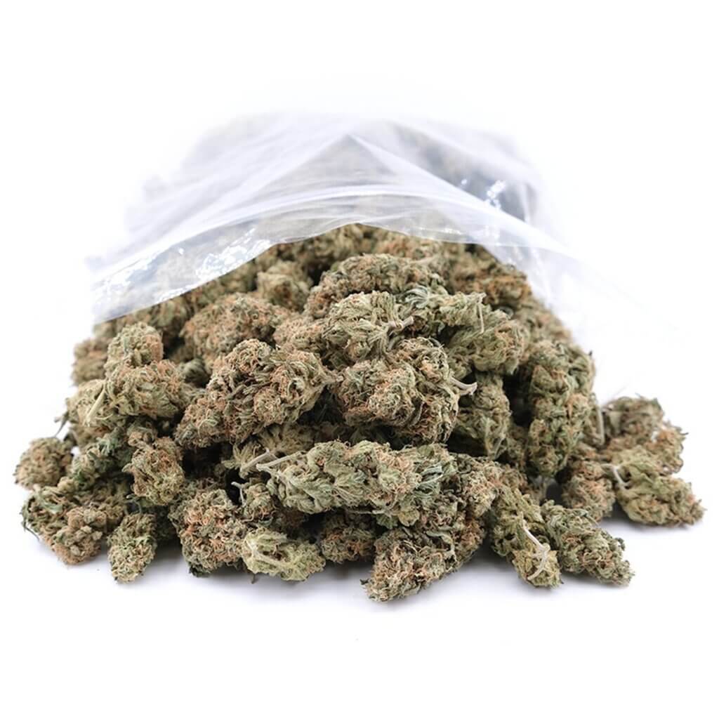 Sky High Exotics