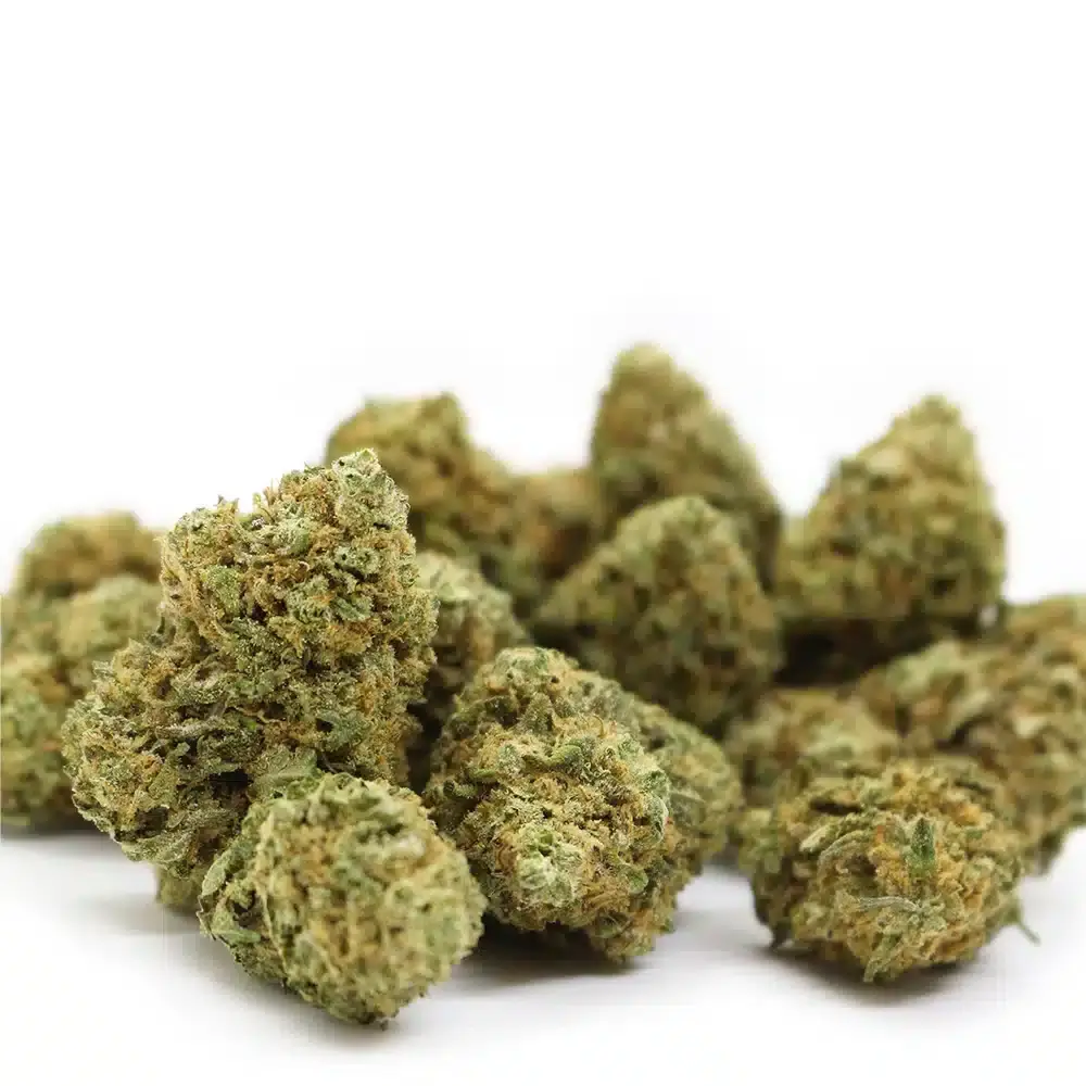 Sky High Exotics