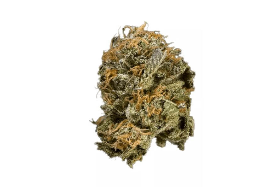 Sky High Exotics