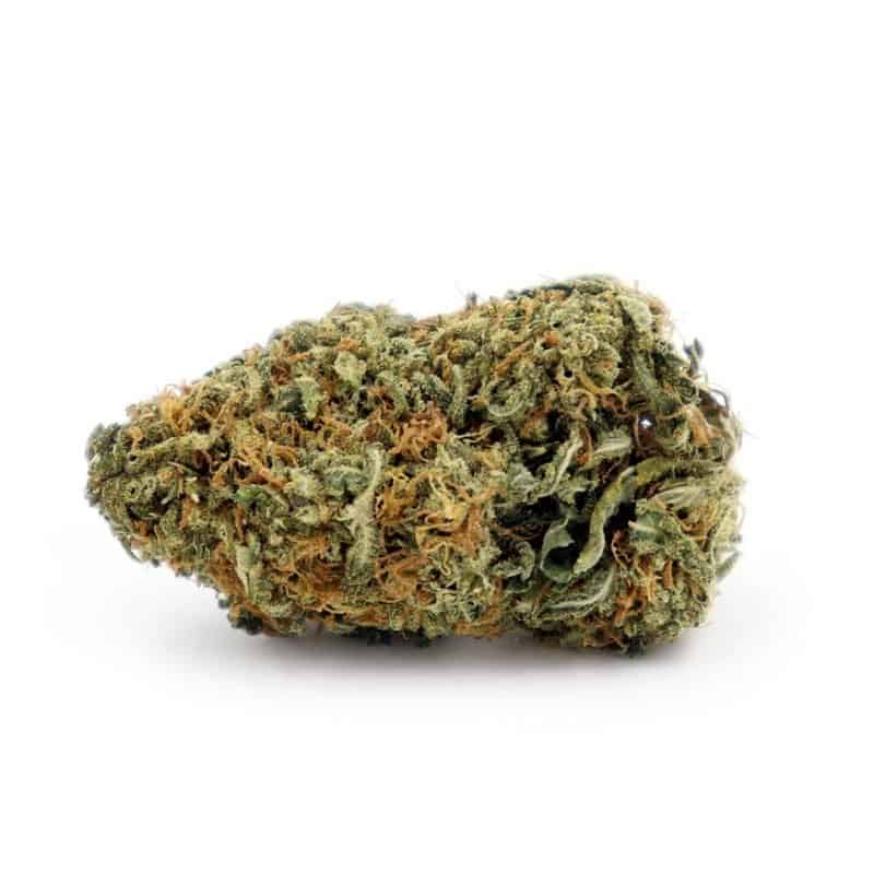 Sky High Exotics