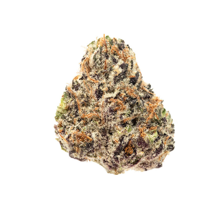 Sky High Exotics