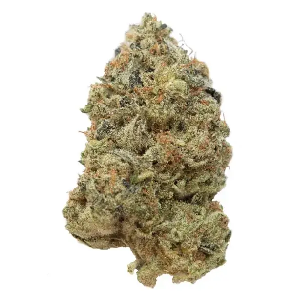 Sky High Exotics
