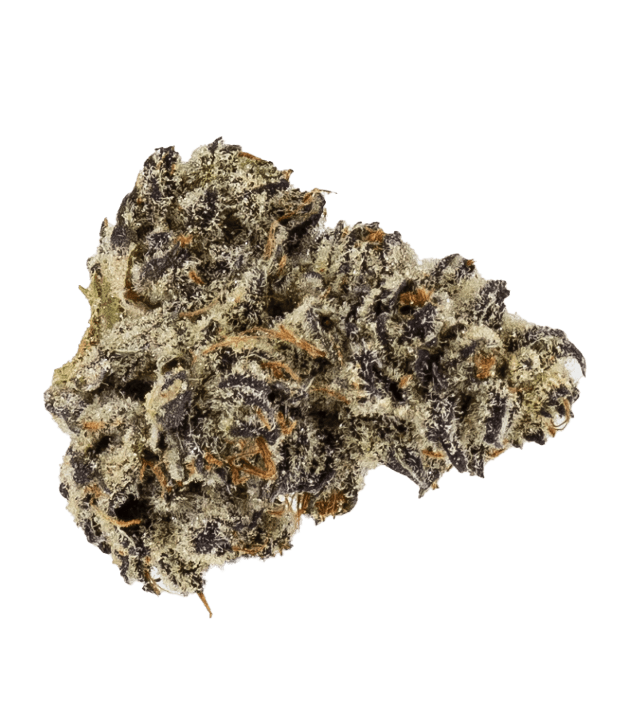 Sky High Exotics