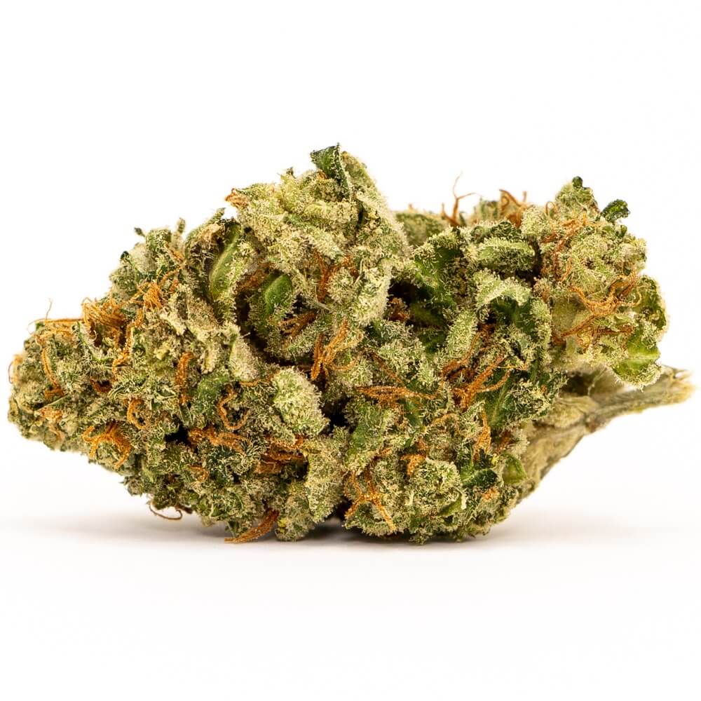 Sky High Exotics