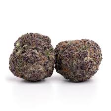 Sky High Exotics
