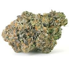 Sky High Exotics