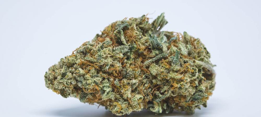 Sky High Exotics