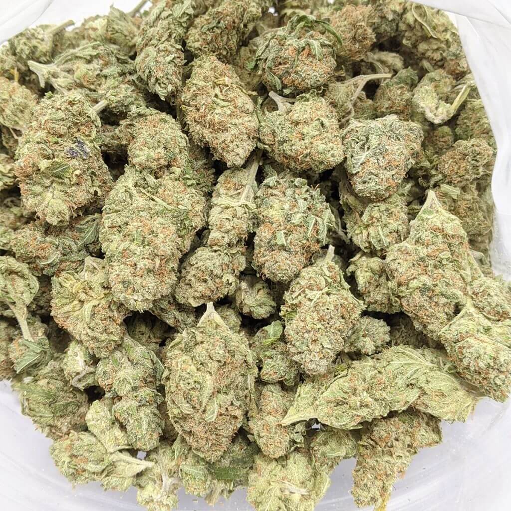 Sky High Exotics