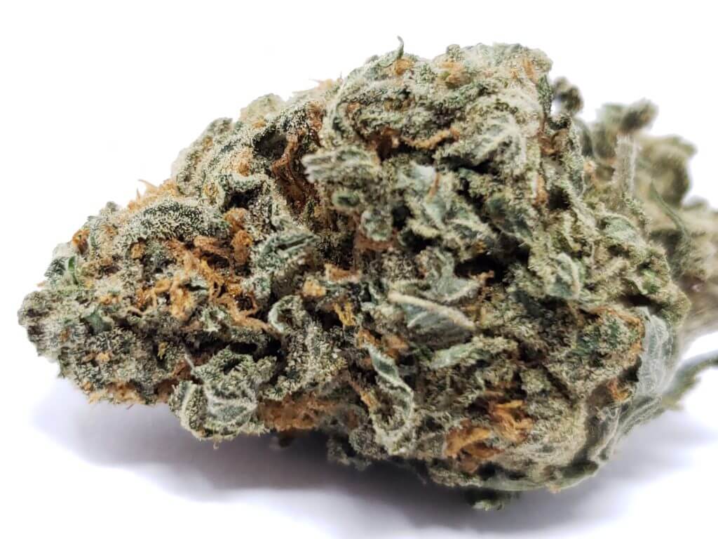 Sky High Exotics