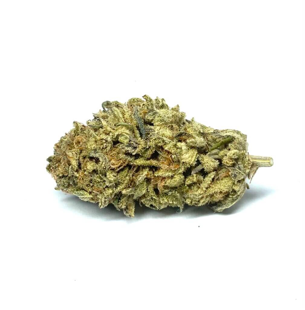 Sky High Exotics
