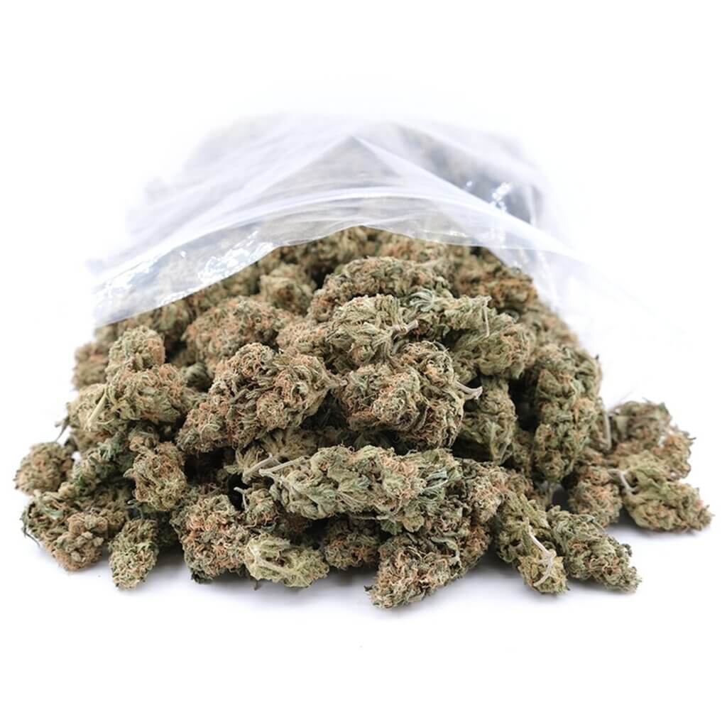 Sky High Exotics