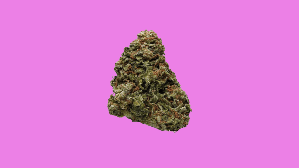 Sky High Exotics