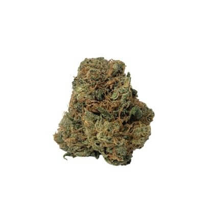 Sky High Exotics
