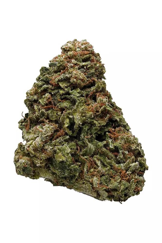 Sky High Exotics