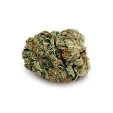 Sky High Exotics