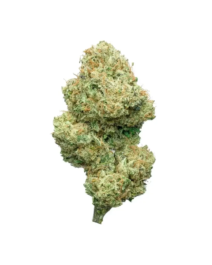 Sky High Exotics