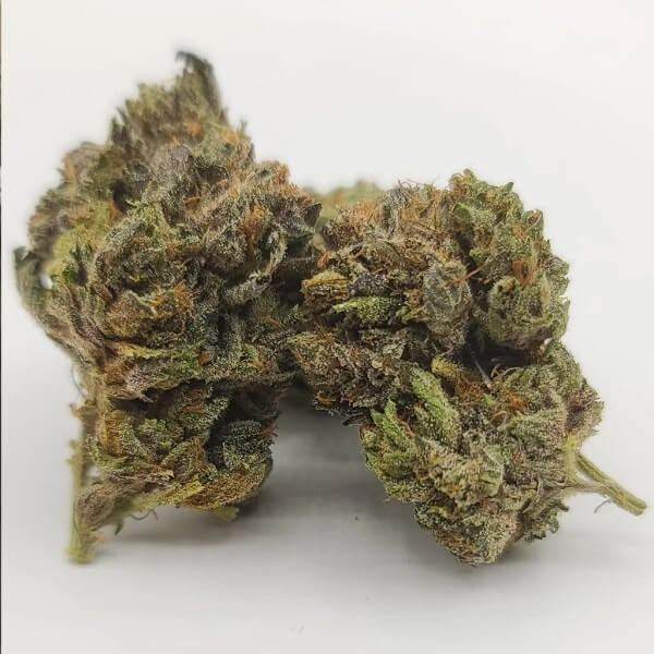 Sky High Exotics