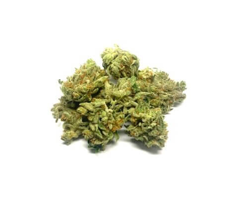Sky High Exotics