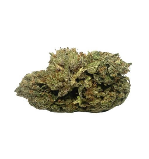 Sky High Exotics