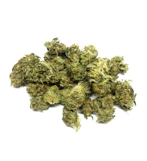 Sky High Exotics