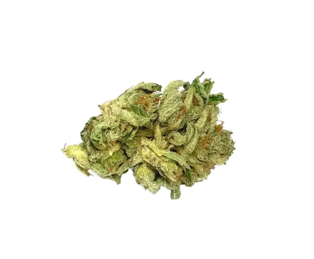 Sky High Exotics