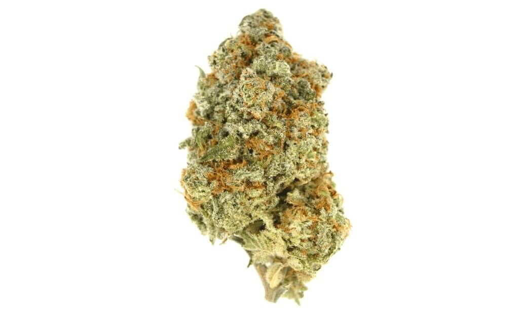 Sky High Exotics