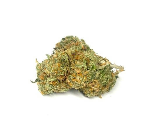 Sky High Exotics
