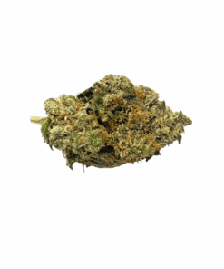 ROCKSTAR KUSH - INDICA - AAA