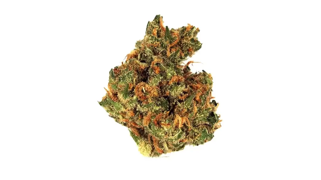 Sky High Exotics