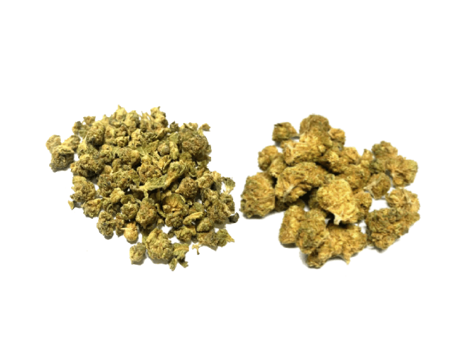 Sky High Exotics