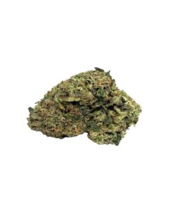 AMNESIA MAC GANJA (AMG) - SATIVA DOMINANT HYBRID - AAA