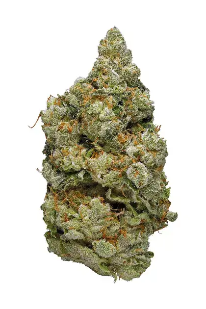 Sky High Exotics