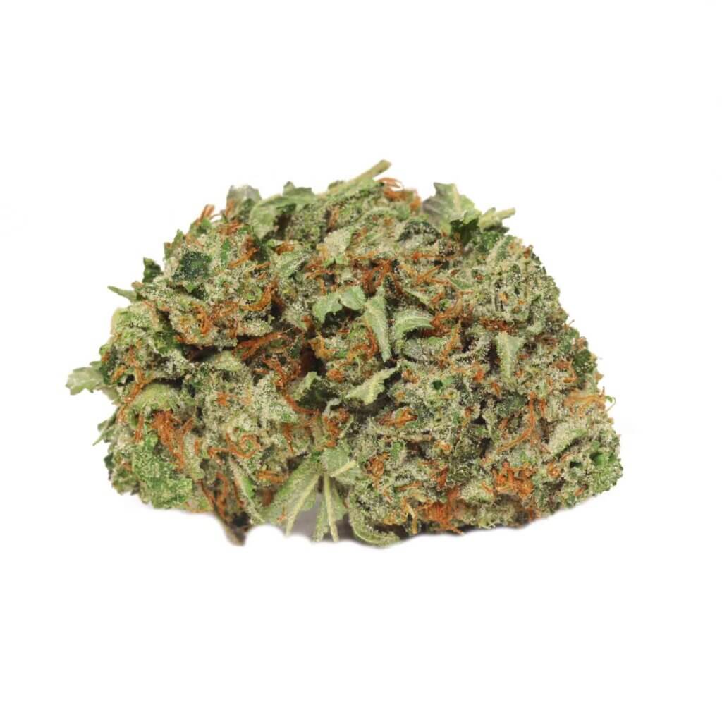 Sky High Exotics