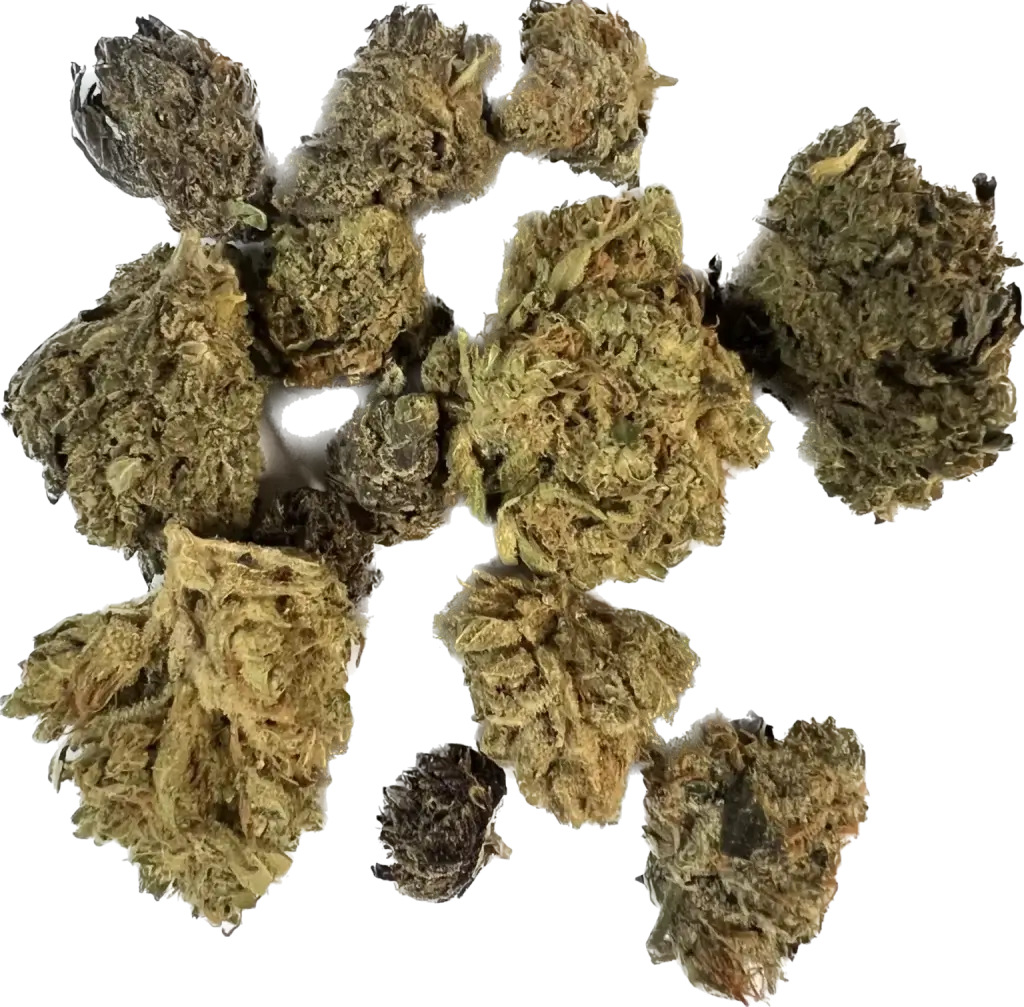 Sky High Exotics