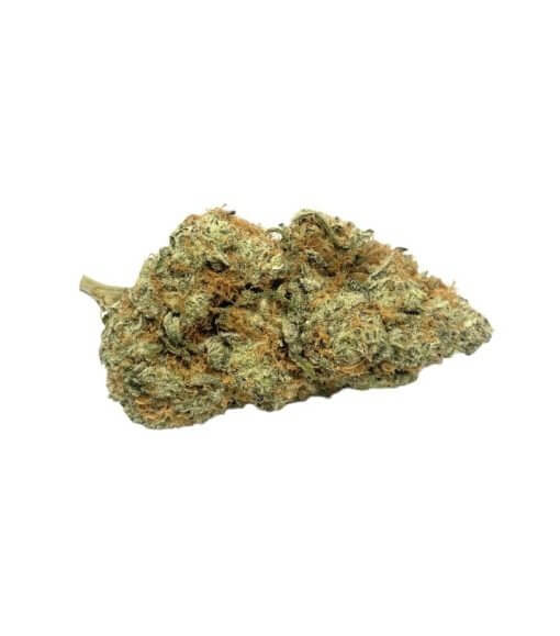 Sky High Exotics